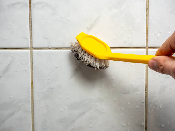 Best Localized Mold Remediation (e.g., coastal areas, humid climates) in Ixonia, WI