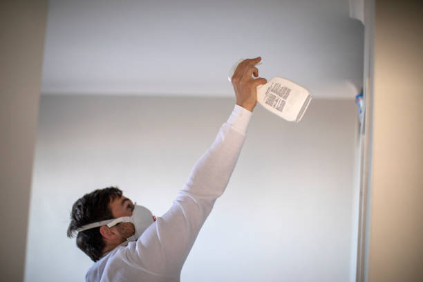Best White Mold Remediation in Ixonia, WI